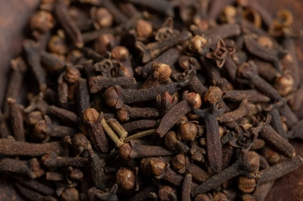 TRICONDI COMRCIO DE PRODUTOS ACESSRIOS E MQUINAS PARA FRIGORFICOS LTDA - Cravo em flor