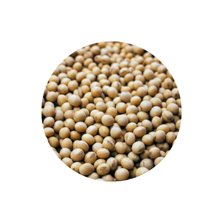 TRICONDI COMRCIO DE PRODUTOS ACESSRIOS E MQUINAS PARA FRIGORFICOS LTDA Proteínas Saiba mais 