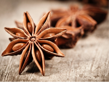 TRICONDI COM�RCIO DE PRODUTOS ACESS�RIOS E M�QUINAS PARA FRIGOR�FICOS LTDA - Anis estrelado