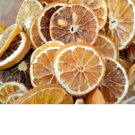 TRICONDI COM�RCIO DE PRODUTOS ACESS�RIOS E M�QUINAS PARA FRIGOR�FICOS LTDA - Laranja em rodelas desidratada